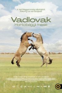 Wild Horses – A Tale From The Puszta